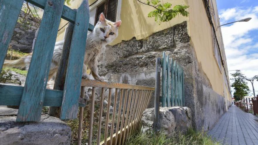 Barrios que buscan fondos europeos | Zárate