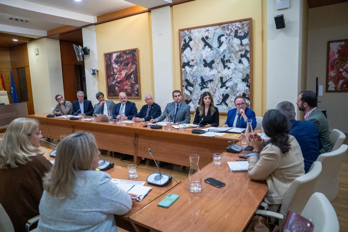 Imagen de la reunión.