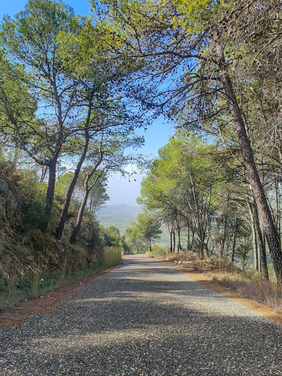 El sendero PR-CV 207: L’Orxa - Áreas Recreativas es accesible y no presenta grandes dificultades a lo largo de sus 15 km, además se han instalado nuevos paneles interpretativos.