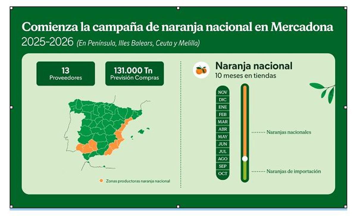Planificación de la campaña de Mercadona