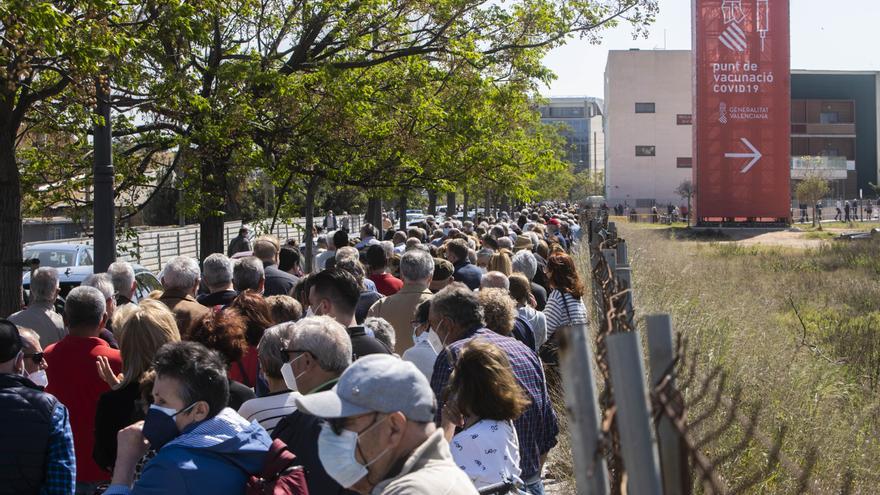 Largas colas al sol para vacunarse contra la COVID-19 en el hospital de campaña de La Fe