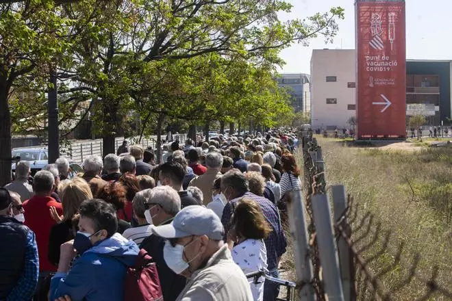 Largas colas al sol para vacunarse contra la COVID-19 en el hospital de campaña de La Fe