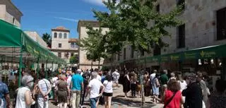 Una Feria de la Cerámica y la Alfarería más internacional, reto para la siguiente