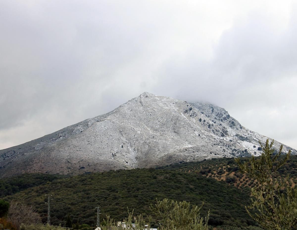 Amanecen nevadas zonas de Los Pedroches y la Subbética