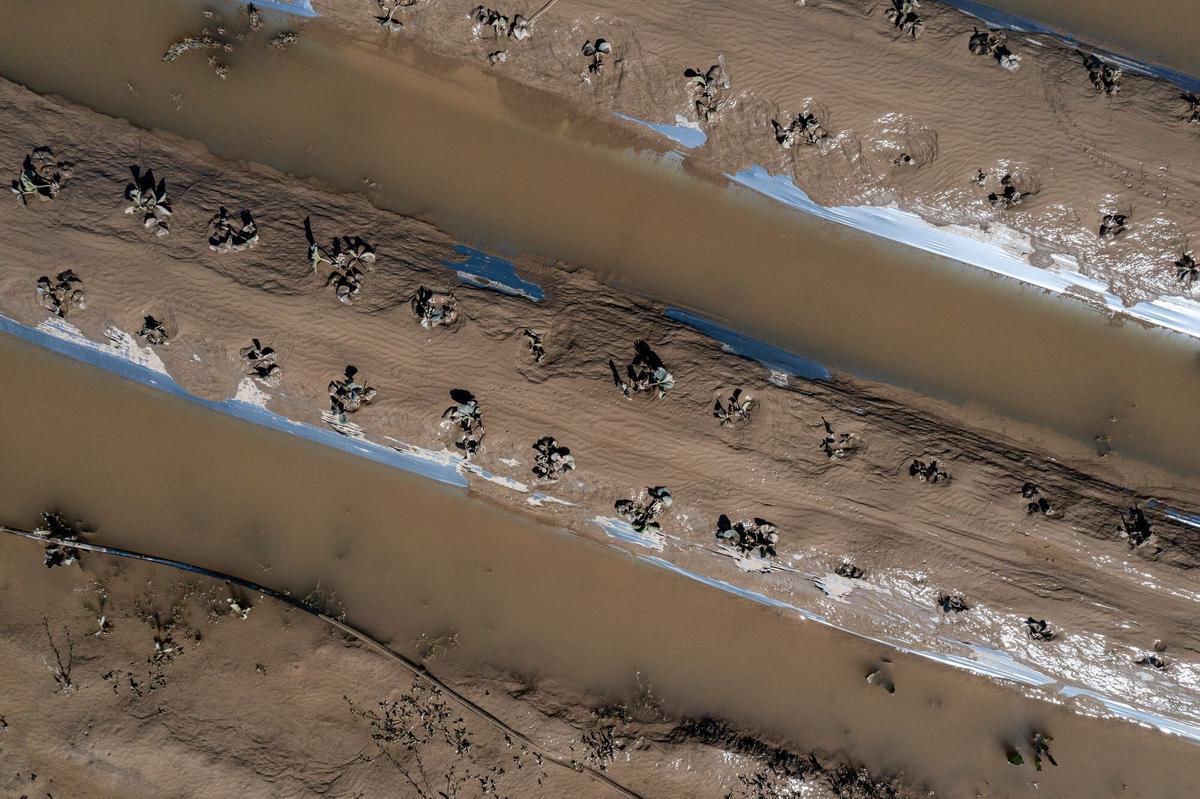 Campos inundados en Pájaro (California) debido al paso de un río atmosférico