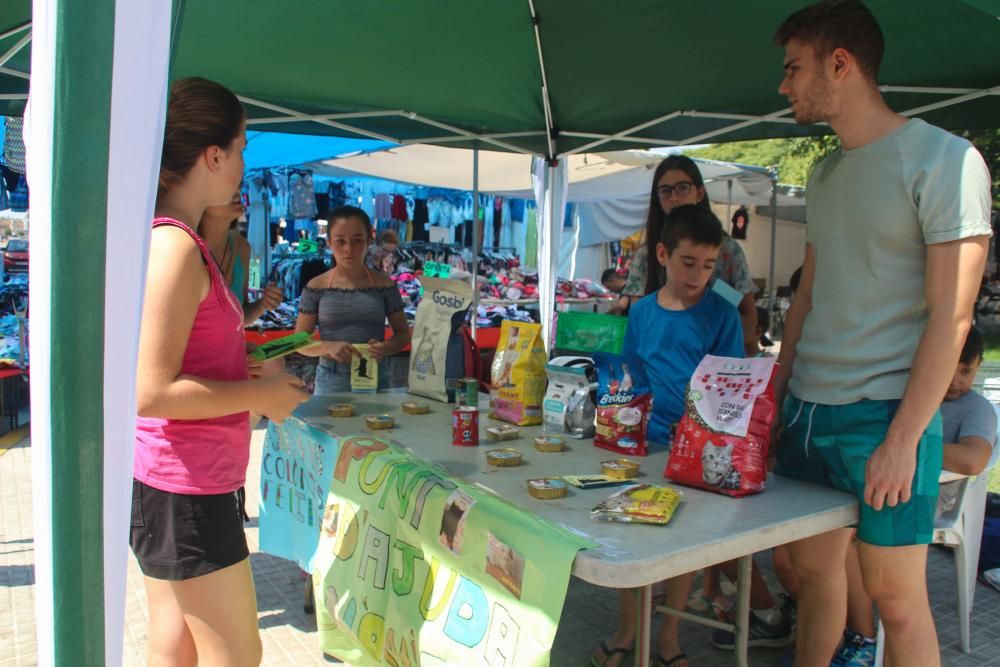 Programa "Apunta't a l'estiu" de Alaquàs