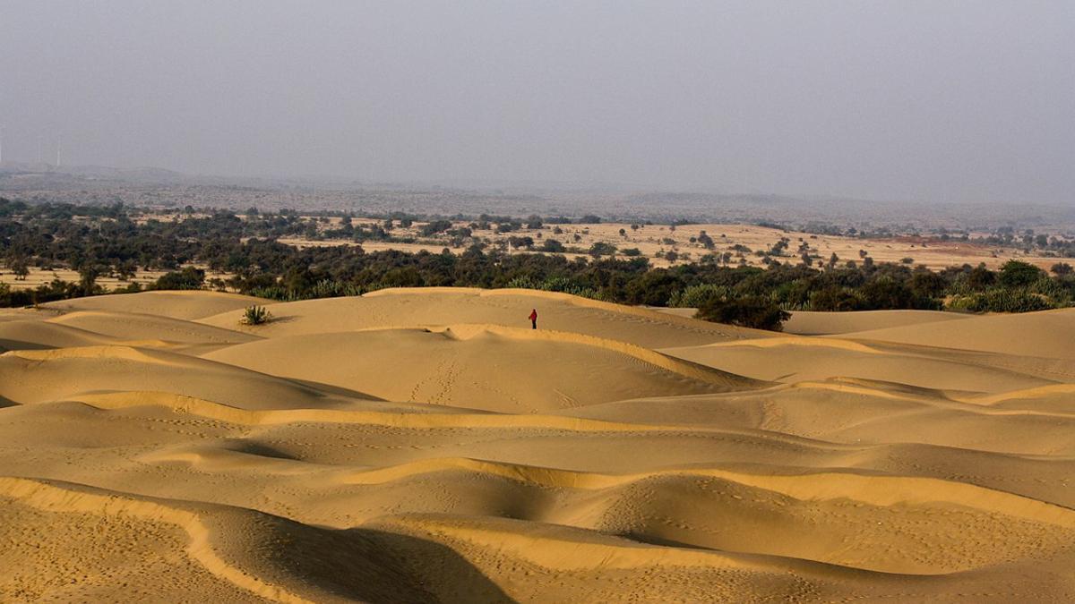 El desierto de Thar se está convirtiendo poco a poco en un vergel.