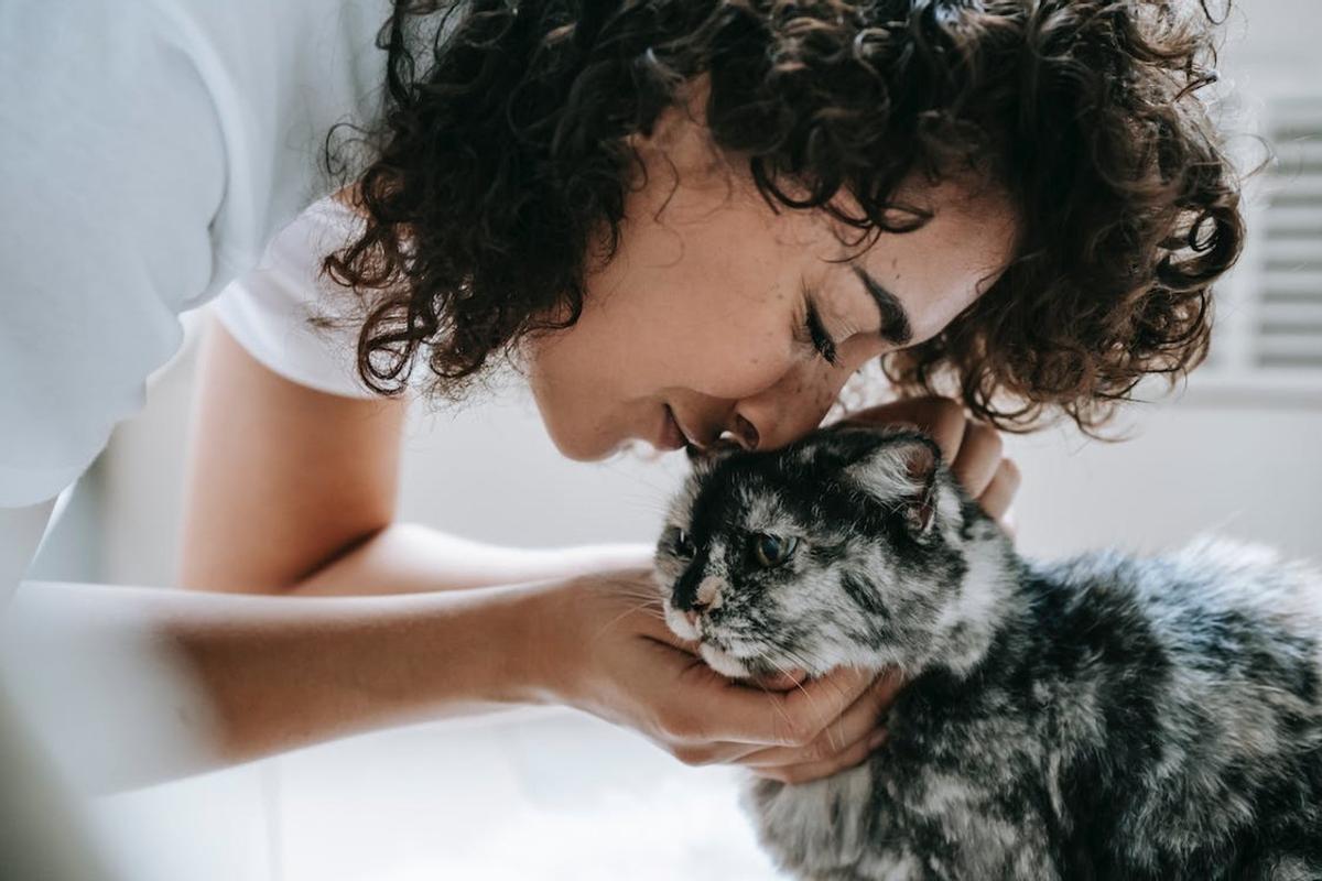 Por qué los gatos tienen más afinidad con las mujeres.