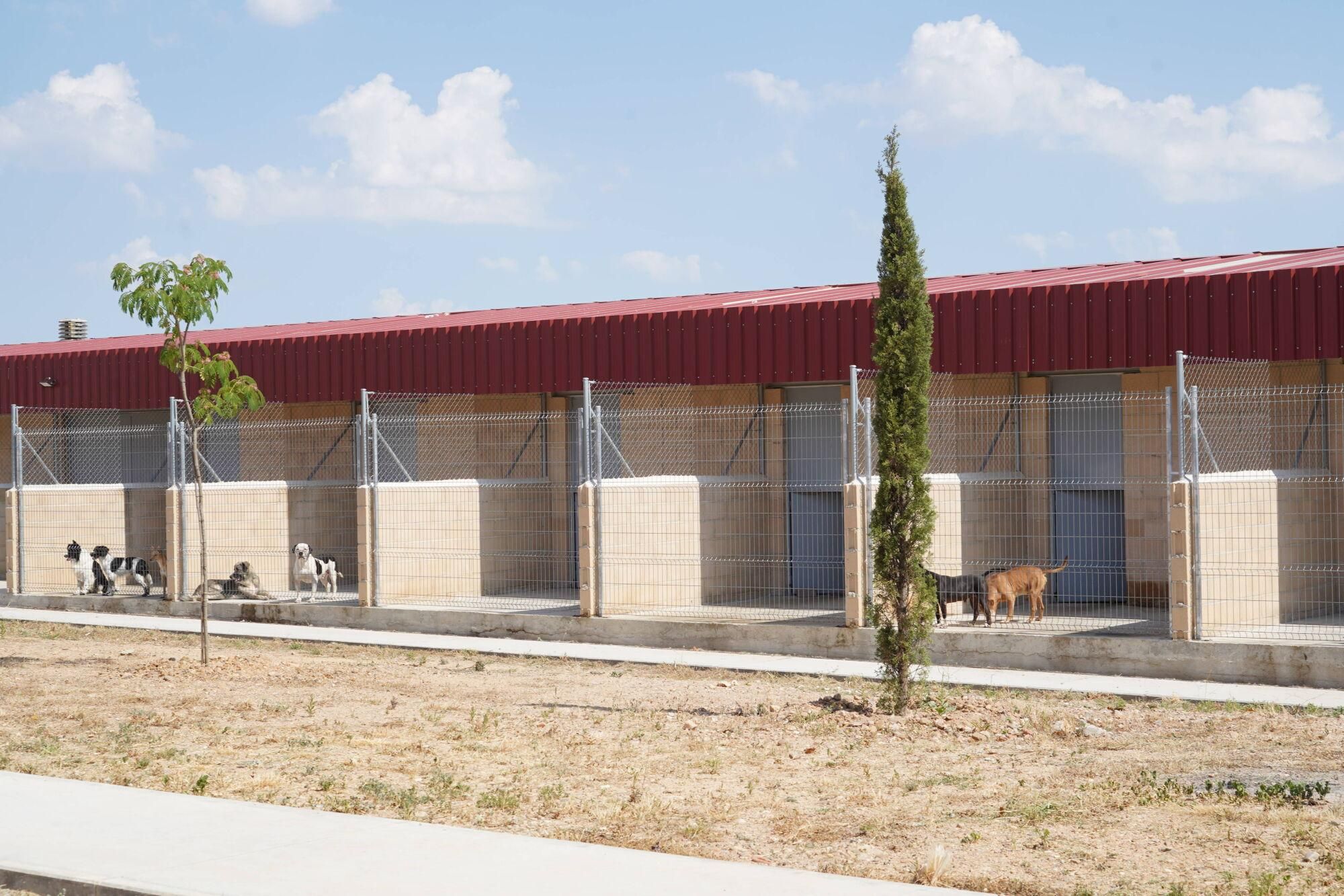 Visita a las instalaciones del nuevo Centro de Protección Animal