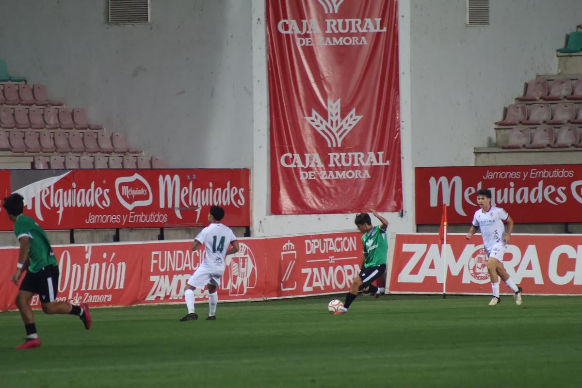 GALERÍA | El empate del Zamora CF, en imágenes