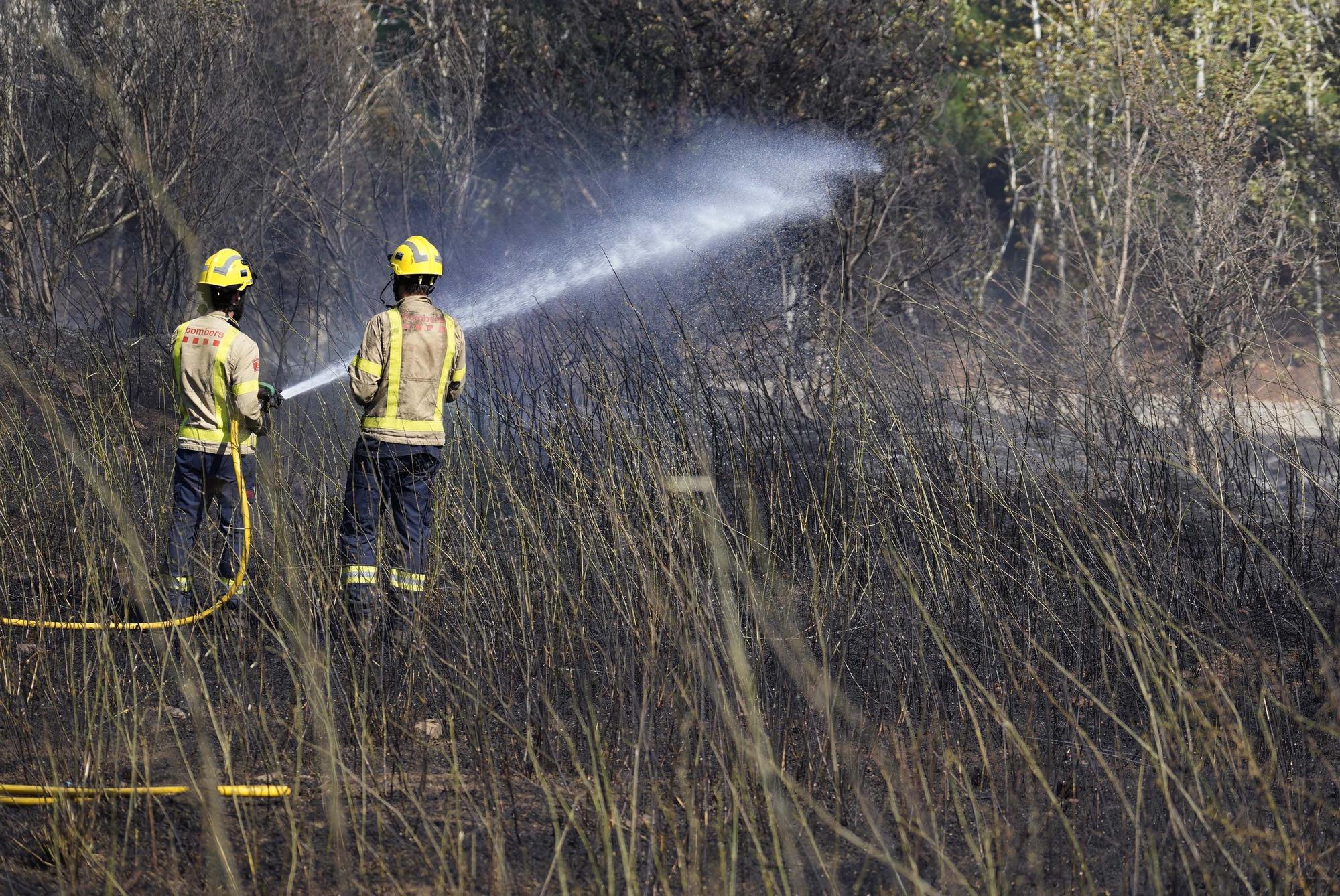 Incendi a Calonge: petit ensurt prop de la piscina