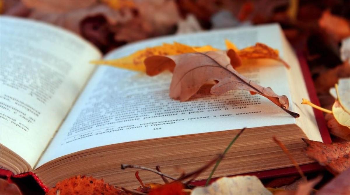 Libro.Otoño