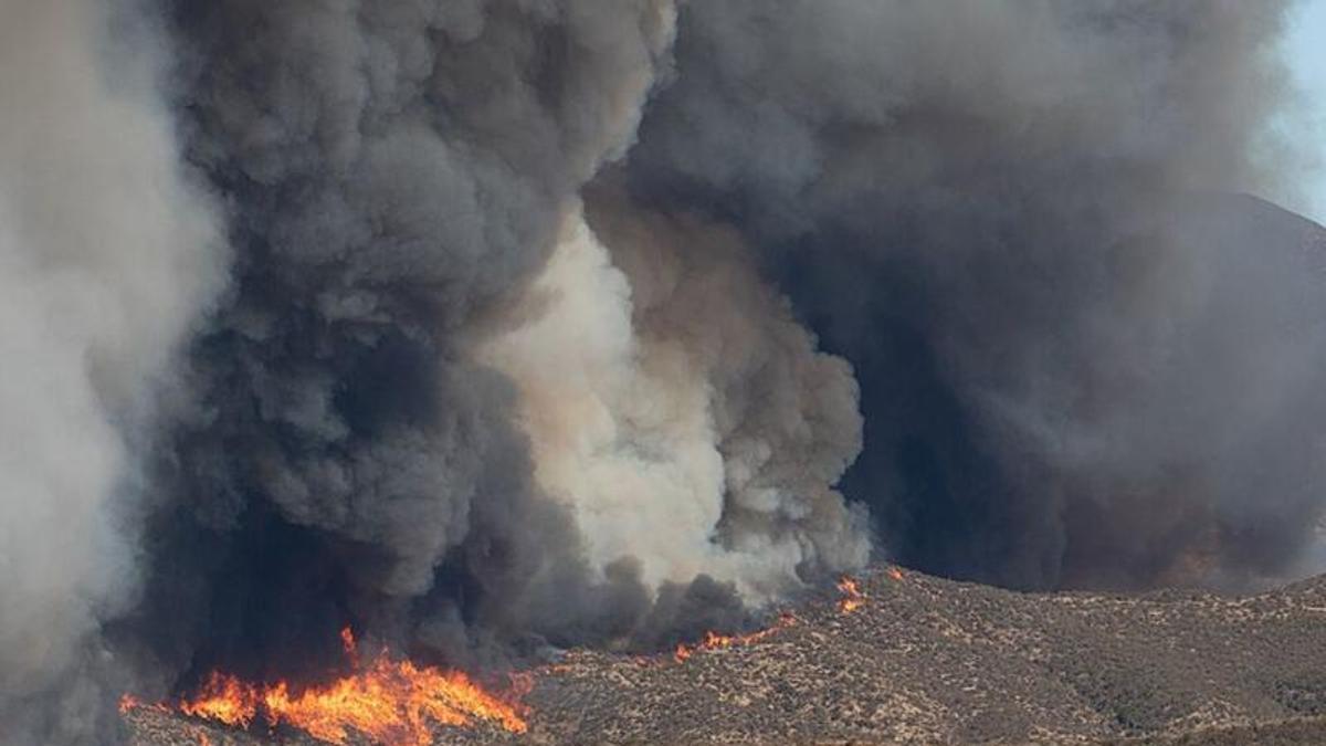 Las temperaturas más altas y una mayor sequedad favorecerán incendios más frecuentes y extensos durante las próximas décadas.