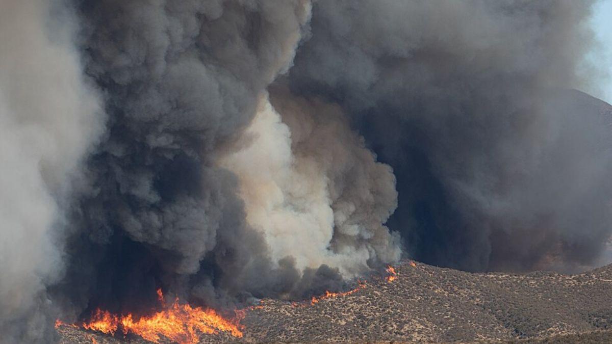 Las temperaturas más altas y una mayor sequedad favorecerán incendios más frecuentes y extensos durante las próximas décadas.
