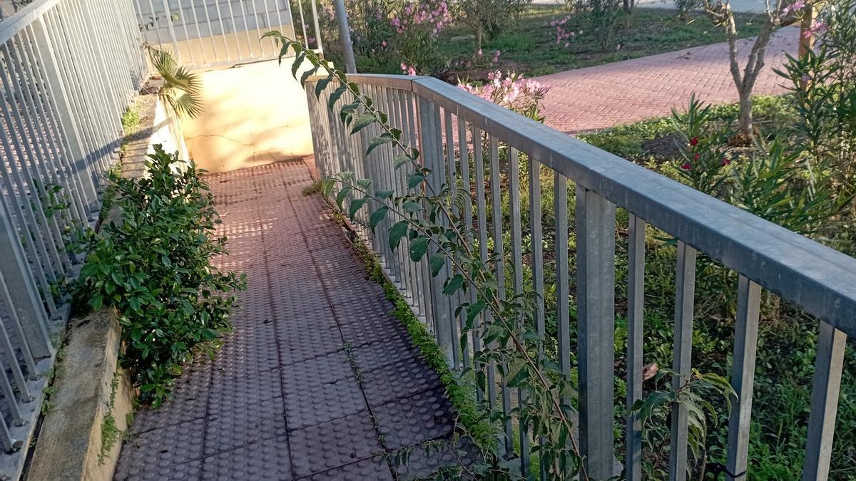 Detalle de la rampa de la calle sin nombre en La Palma-Palmilla, la semana pasada, con los primeros brotes.