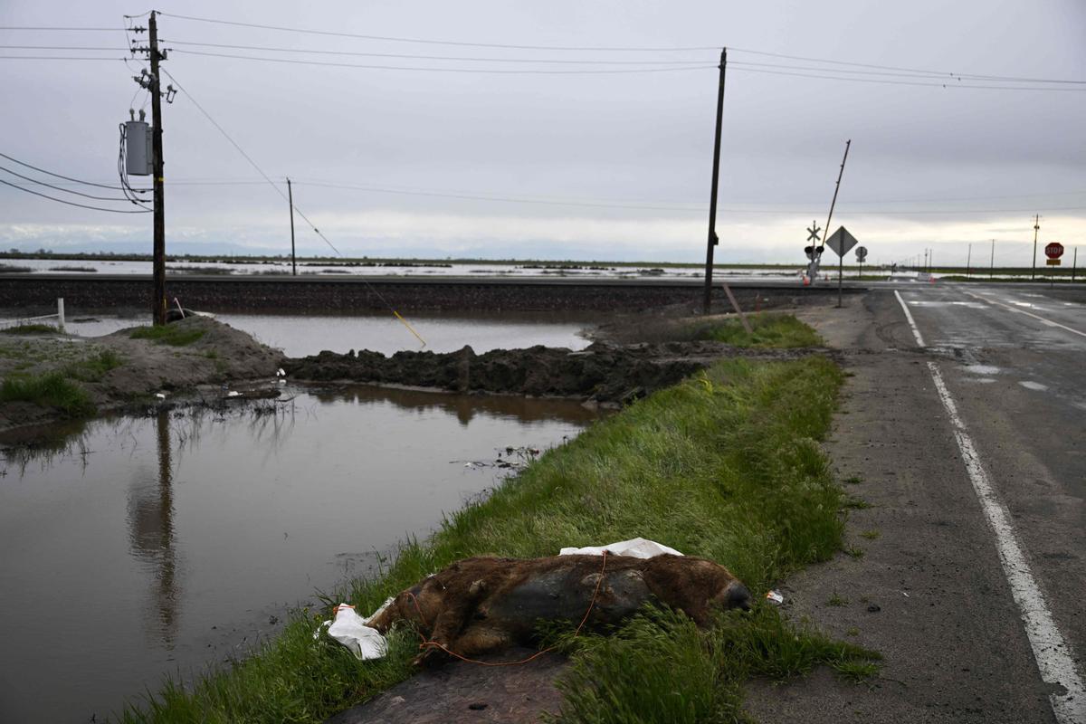 Inundaciones en el condado de Tulare, en California