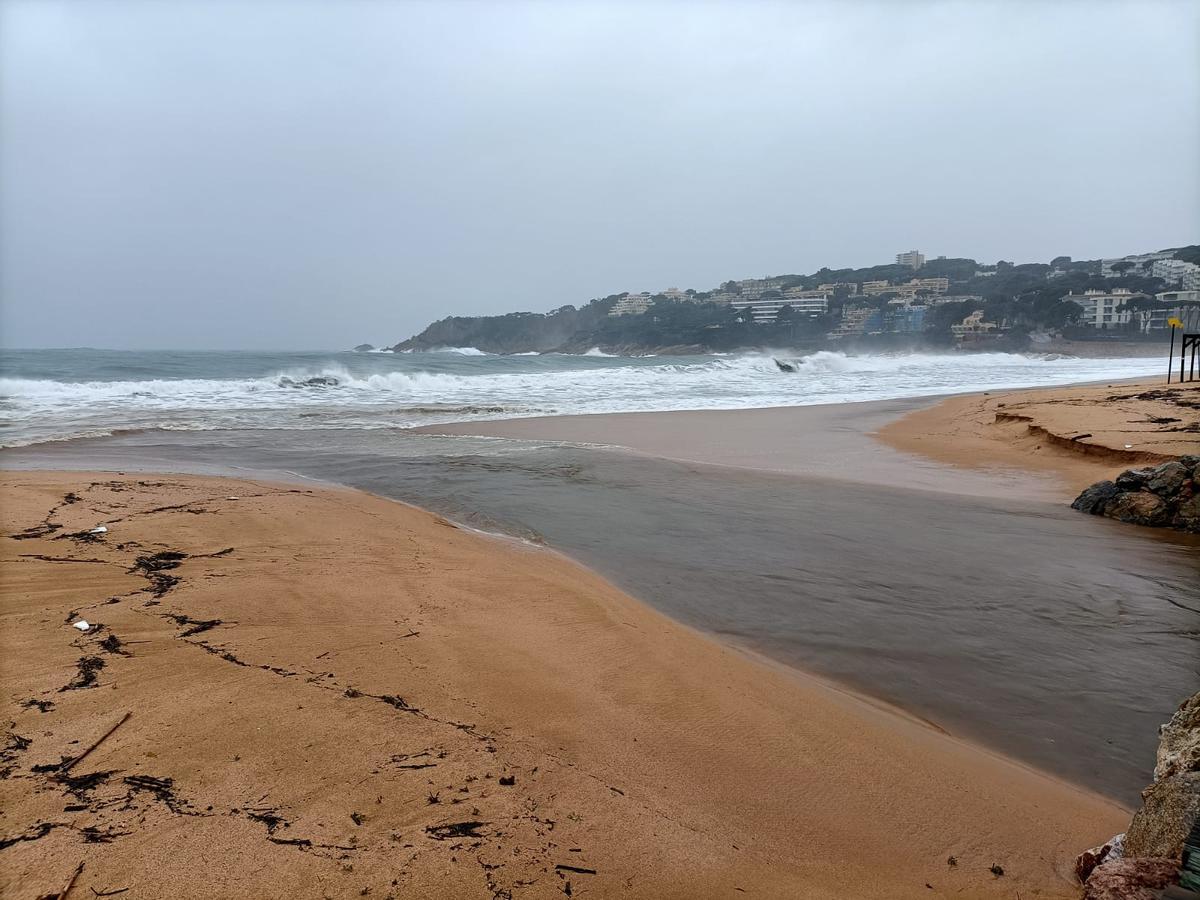 Les fotos dels efectes de la llevantada a les comarques gironines