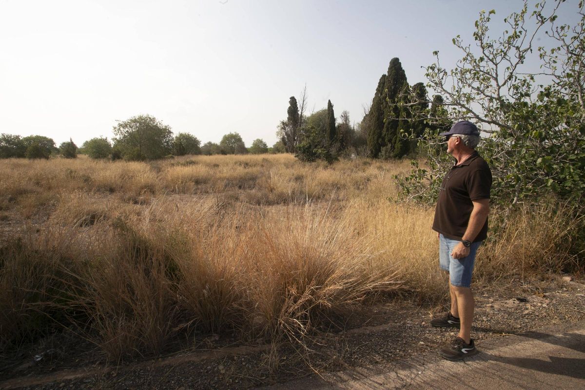 Un agricultor muestra campos abandonados que dan cobijo a jabalíes y conejos.
