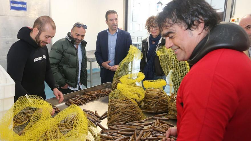 Villares apoya la conserva Navalla Illas Cíes como modelo para revalorizar los productos del mar