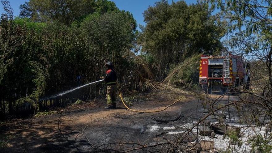 Denuncian que el mínimo de bomberos apenas se ha cubierto 10 días este año