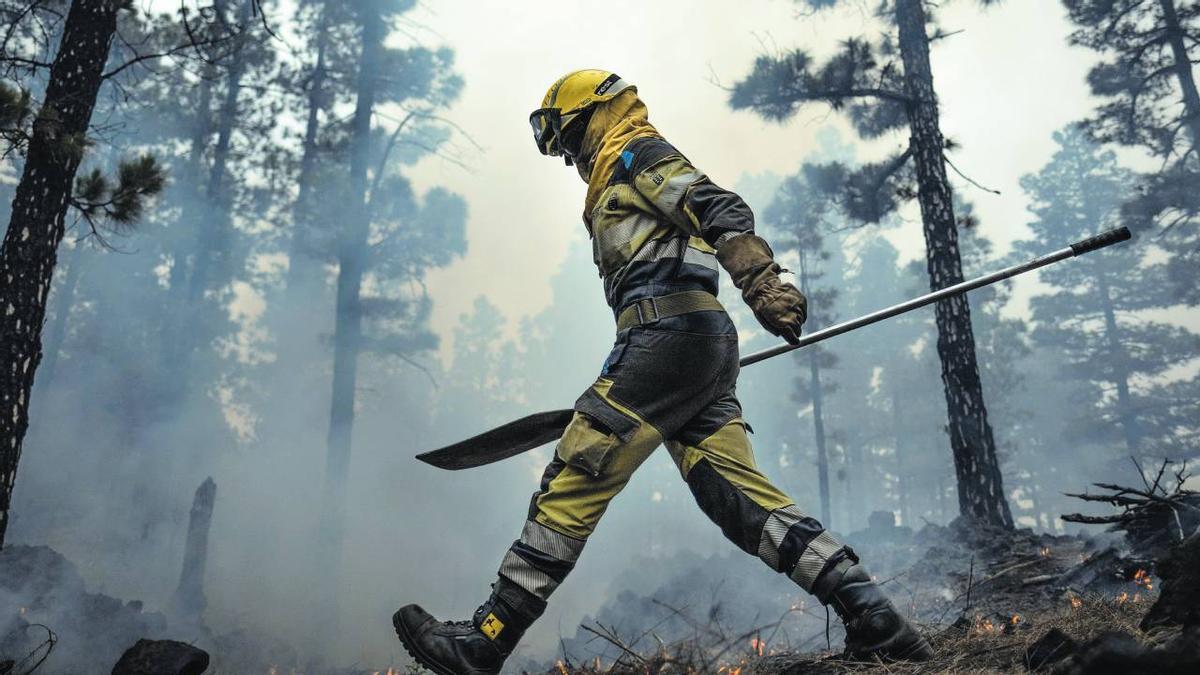 Un agente forestal camina por el monte durante una quema prescrita.