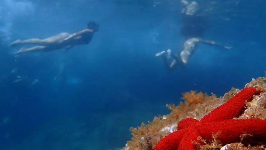 Snorkel per a joves: salut, natura i valors al Cap de Creus