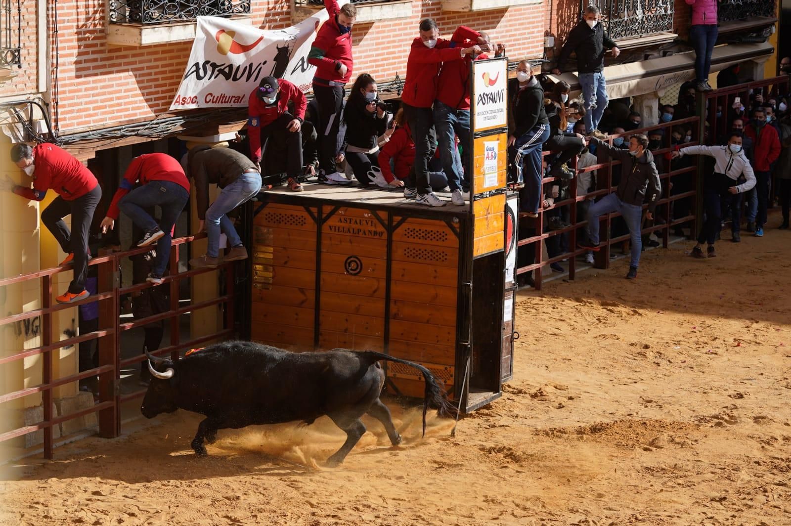 GALERÍA | Vuelve el Toro de la Purísima a Villalpando: así se ha celebrado el festejo taurino