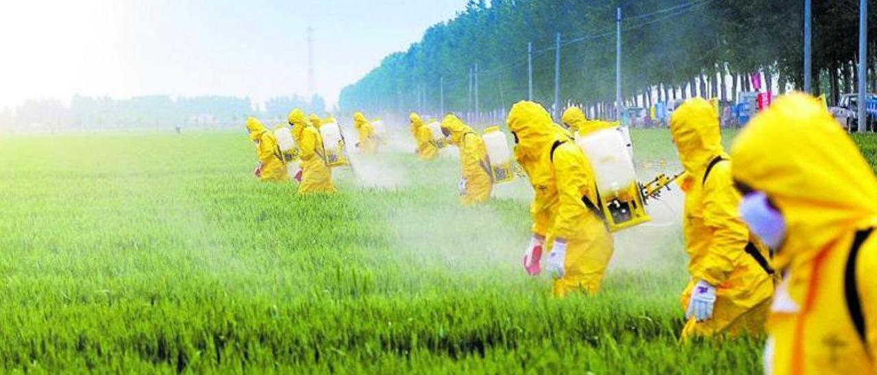 Los pesticidas, uno de los muchos elementos que contienen PFAS