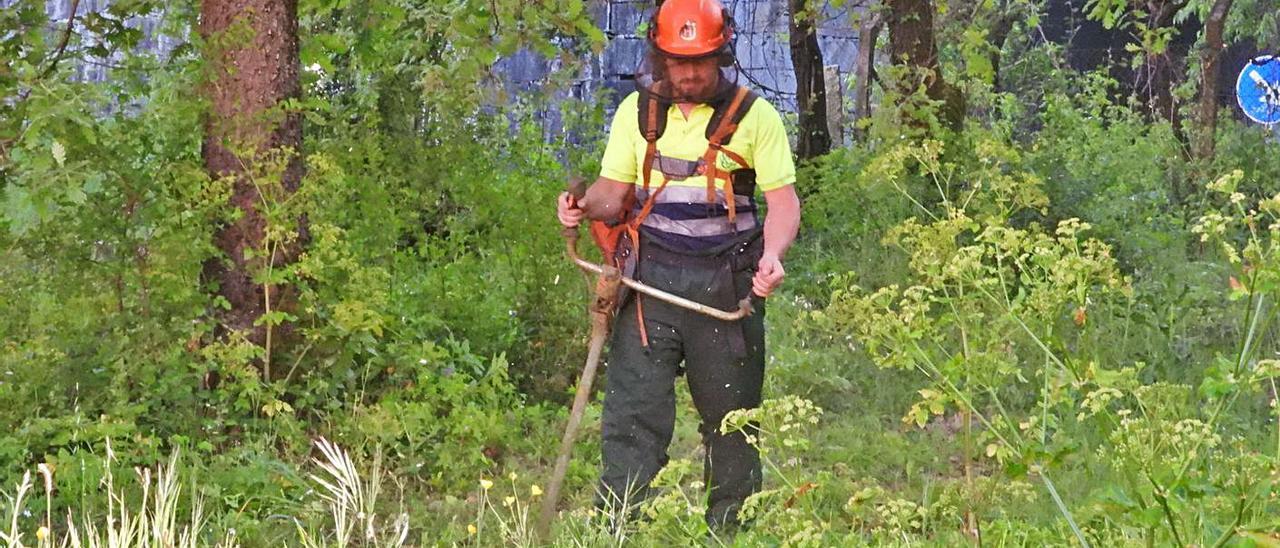 Un trabajador forestal realizando labores de desbroce en una finca. |  // FERNANDO CASANOVA