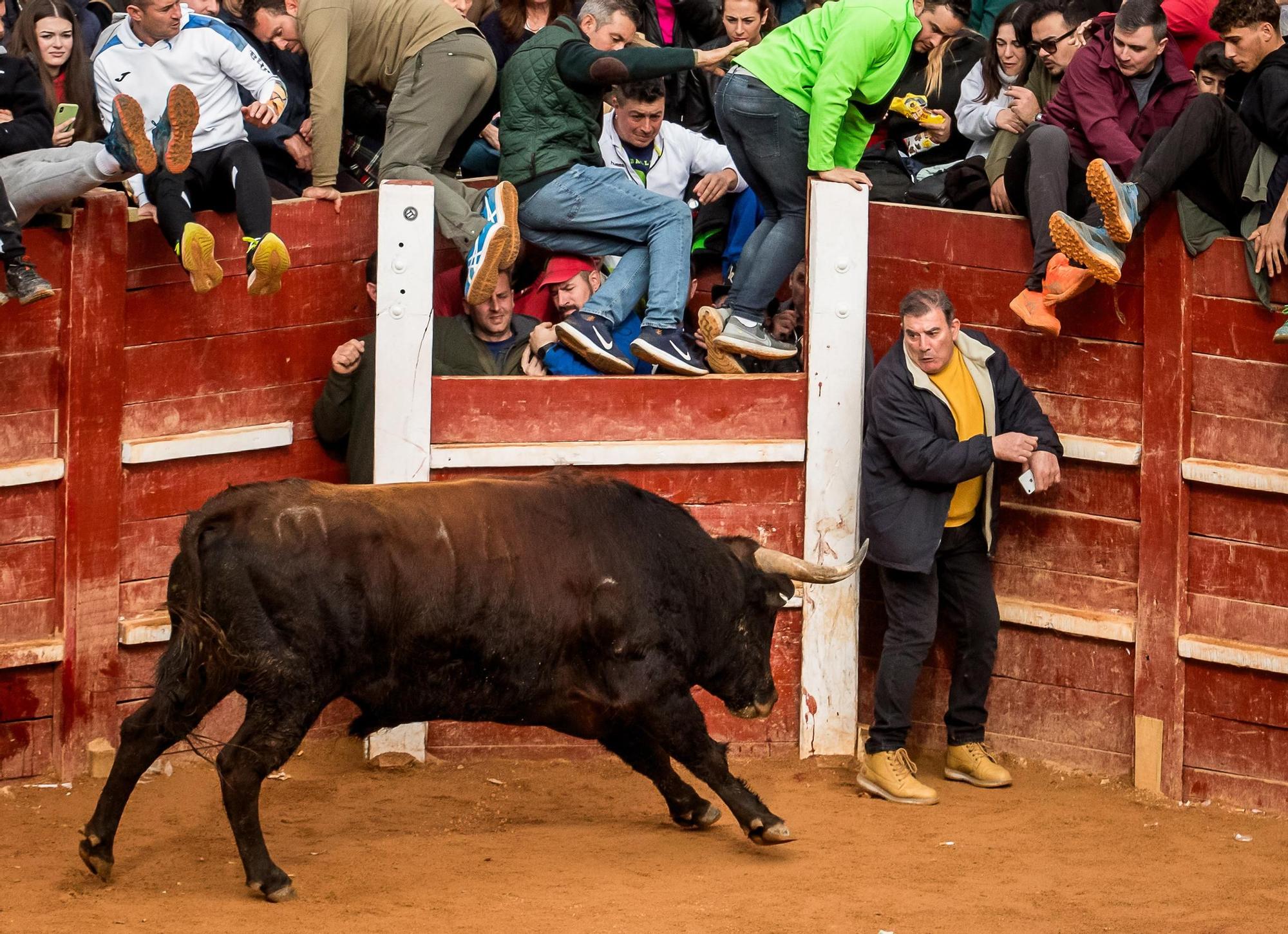 GALERÍA: El martes de Carnaval del Toro en Ciudad Rodrigo se salda con siete intervenciones sanitarias