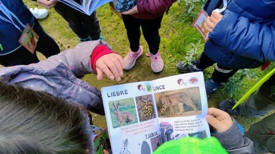300 escolares cordobeses participarán en en el proyecto &#039;Conciencia2&#039;