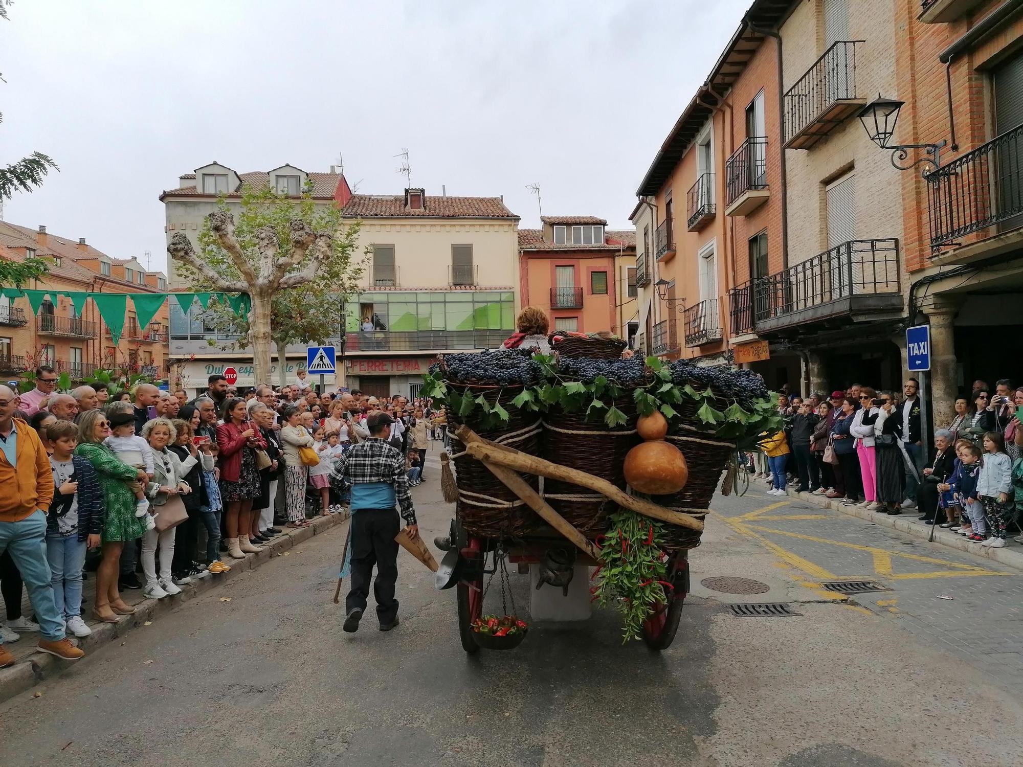 GALERÍA | Toro recrea la vendimia tradicional en el desfile de carros