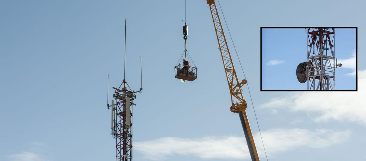 Imágenes de la retirada de nidos de la torre de telefónica el 19 de febrero de 2010. La Consejería de Medio Ambiente había autorizado la operación. | J. A. G.
