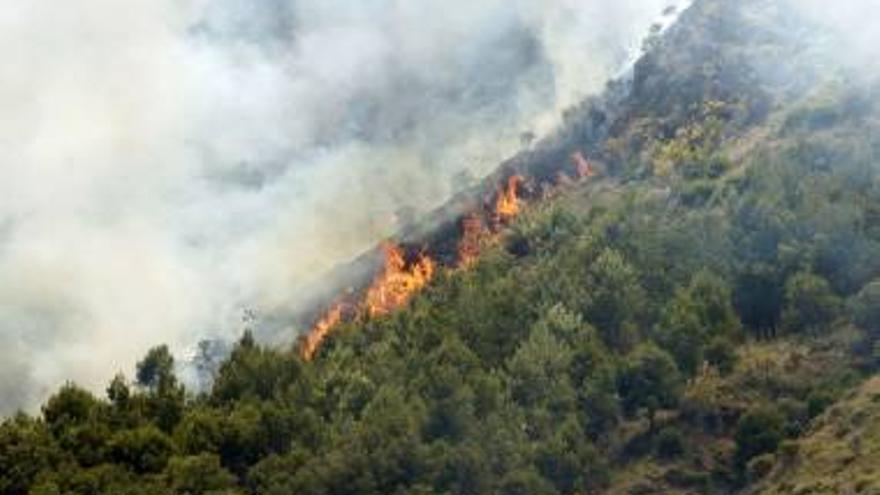 Controlado el incendio de Matet que afecta a la Sierra de Espadán - El  Periódico Mediterráneo