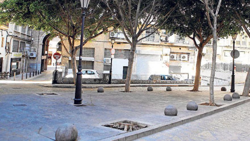 Uno de los árboles cortados en la plazoleta de Sant Martí.