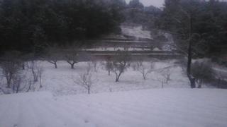 La borrasca Juliette deja las primeras nevadas en la Sierra de Tramuntana de Mallorca