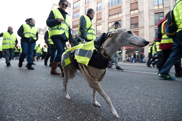 Los ''chalecos amarillos'' protestan en Francia