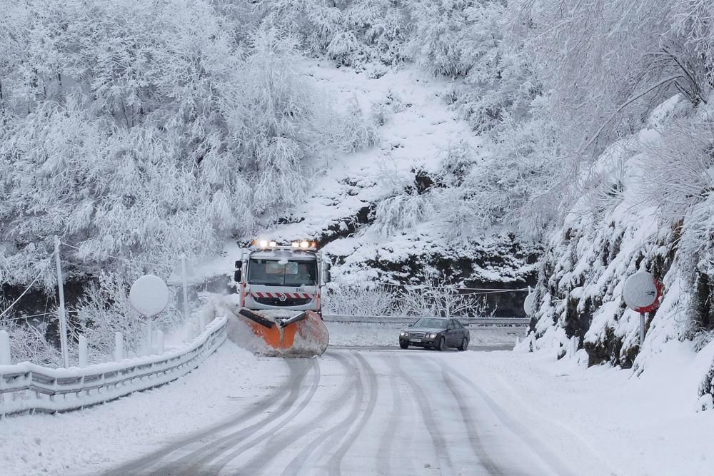 Temporal en Pajares