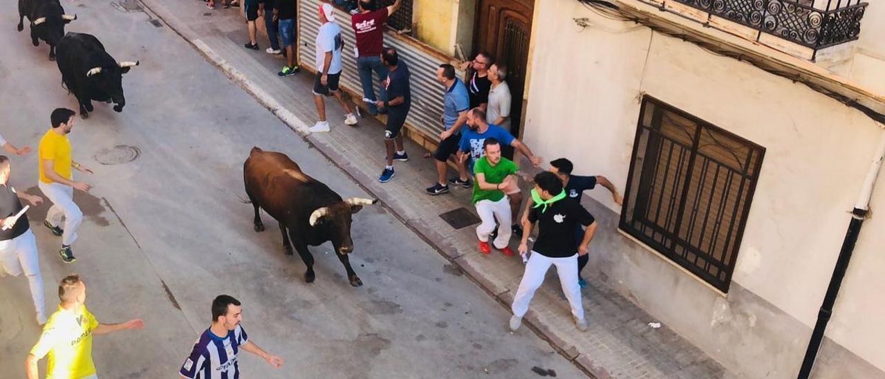 Encierro taurino por las calles de la Vila de Almassora (archivo)