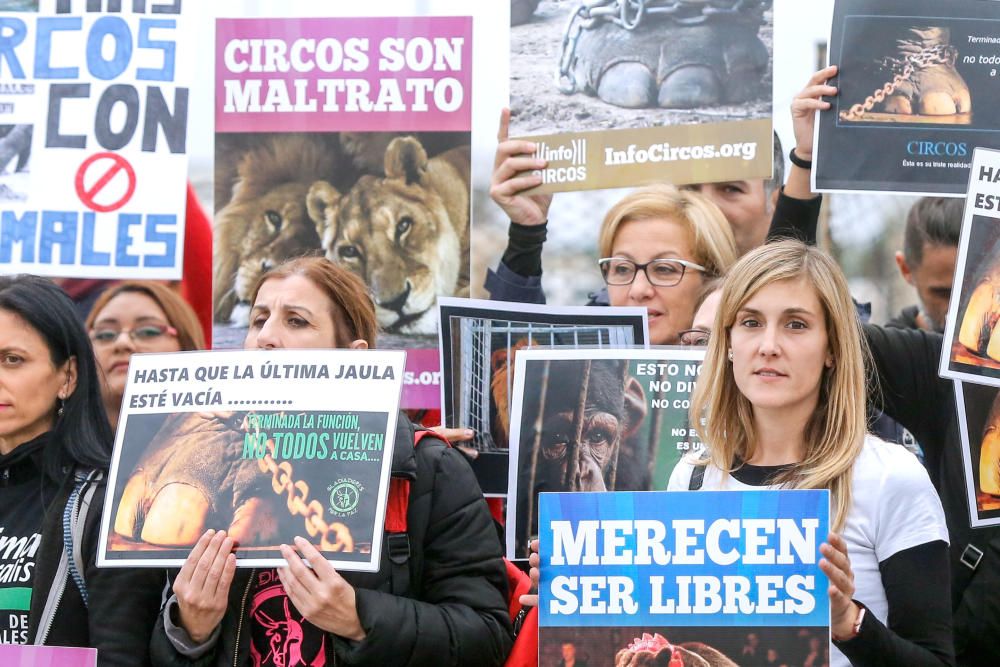 Protesta contra un circo con animales en Alfafar