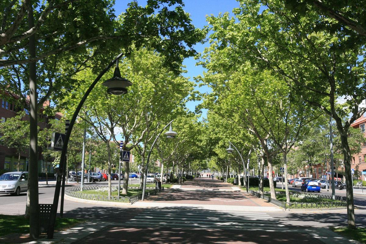 Una calle de Tres Cantos.