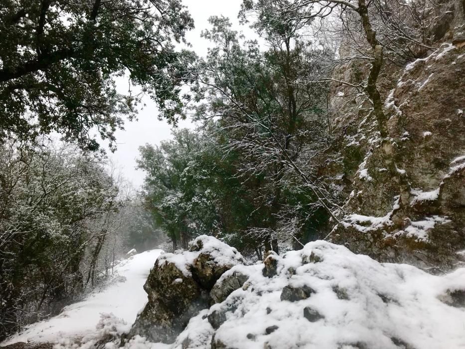 Primeros copos de nieve en la Font Roja.