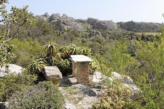 In Ariant blühen die mediterranen Pflanzen um die Wette. In dem von Heidi Gildemeister entworfenen Garten wird vieles den Launen der Natur und dem Zufall überlassen. Aber nicht alles.