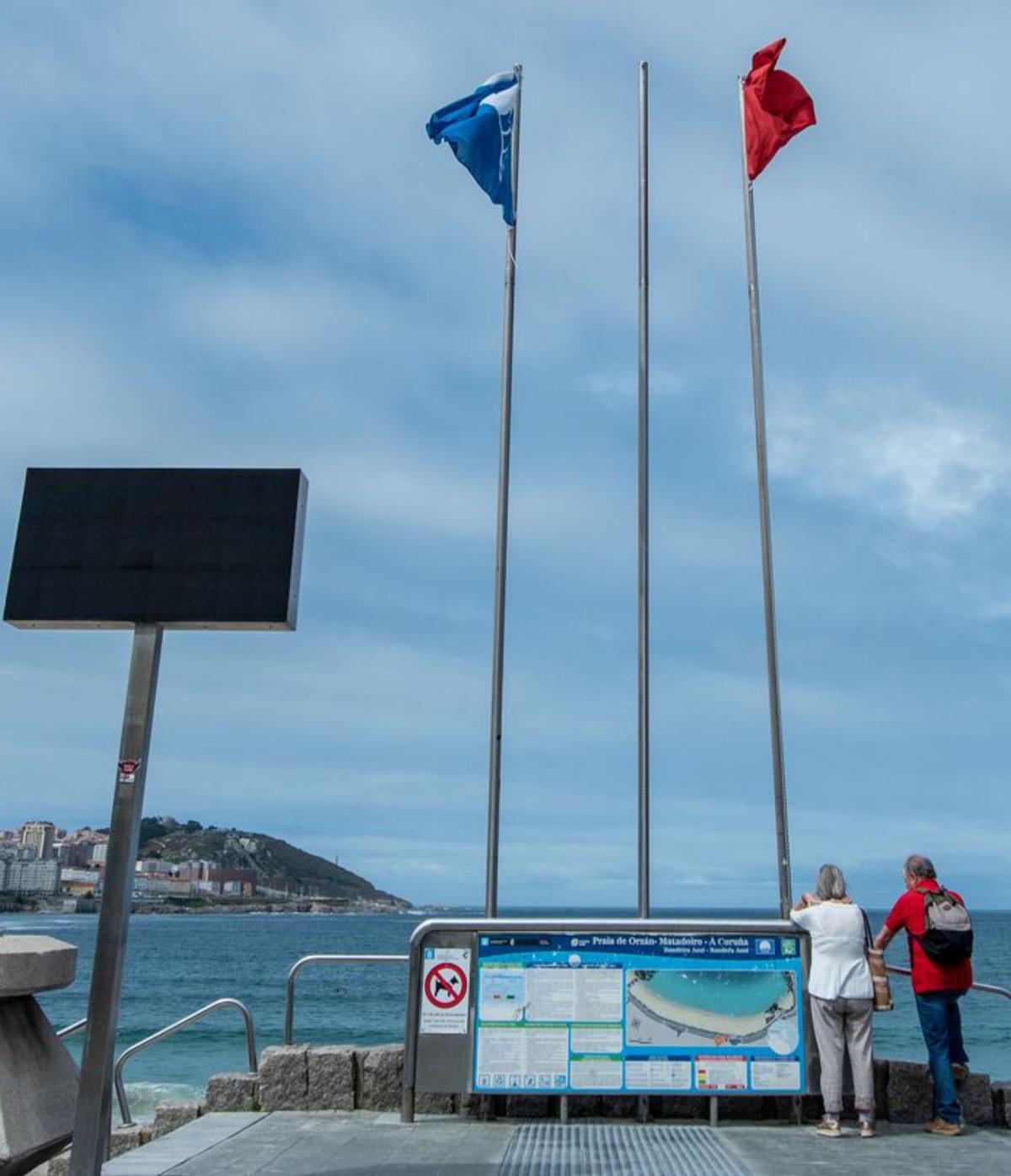 Ejemplares de las carabelas portuguesas recogidas este martes y la bandera roja que ondeó en la playa tras el avistamiento.    | // CASTELEIRO/ROLLER AGENCIA