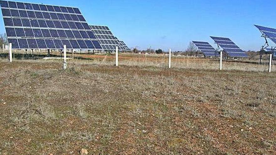 Paneles solares instalados en un huerto solar de Sayago.