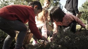 BERGA . 66 CONCURS DE BOLETAIRES PLA DE PUIGVENTOS . PENYA BOLETAIRE DE BERGA
