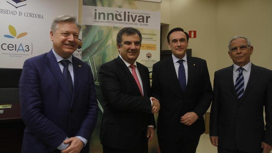 La UCO consigue 13 millones para un proyecto de mejora del olivar