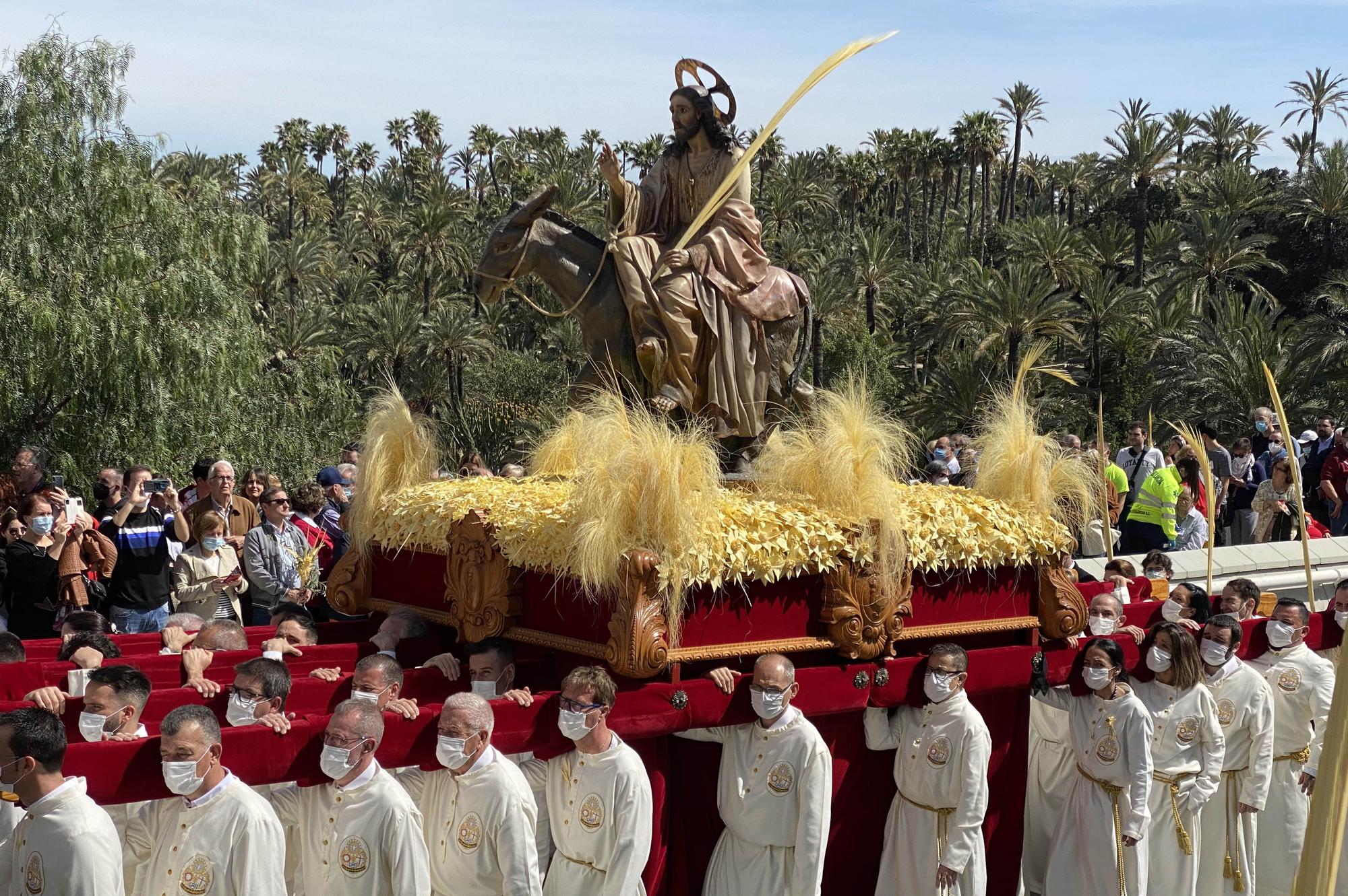 Domingo de Ramos en Elche