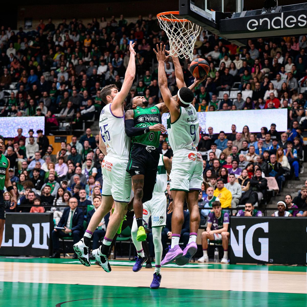 El Joventut - Unicaja de la Liga Endesa, en fotos