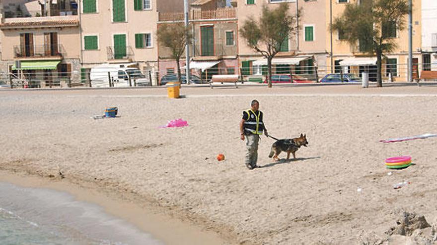 Parques y playas para perros
